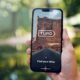 Hand Holding A Smartphone With Turo Online